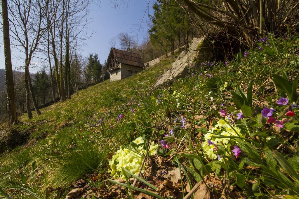 Casa Delle Noci Villa Grimacco Rum bild
