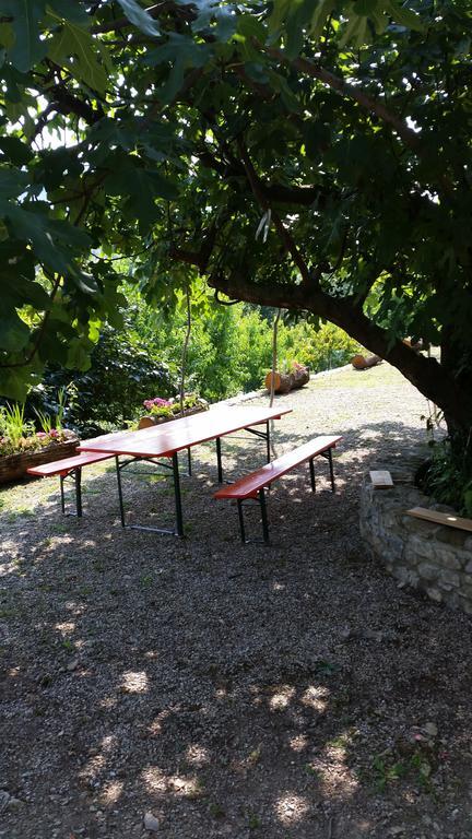 Casa Delle Noci Villa Grimacco Rum bild