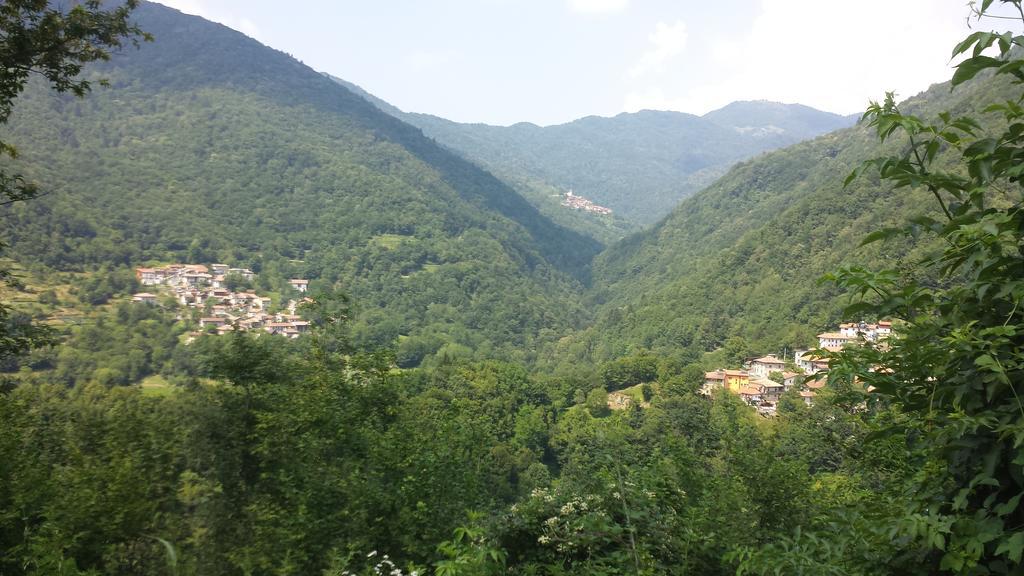 Casa Delle Noci Villa Grimacco Rum bild